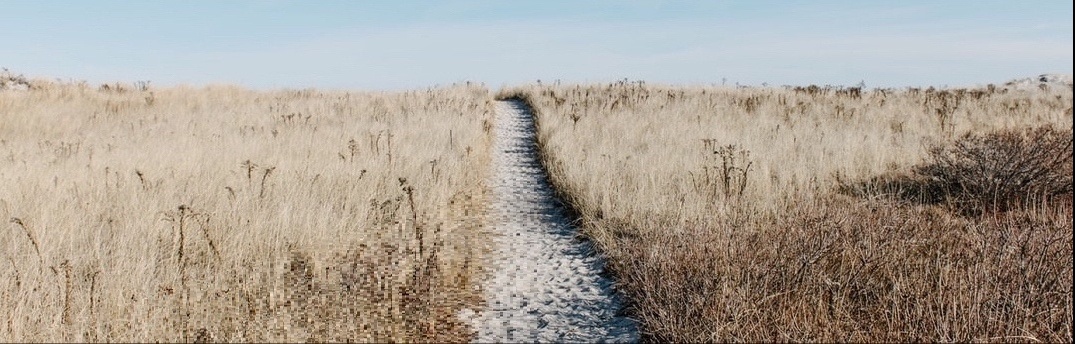 banner image