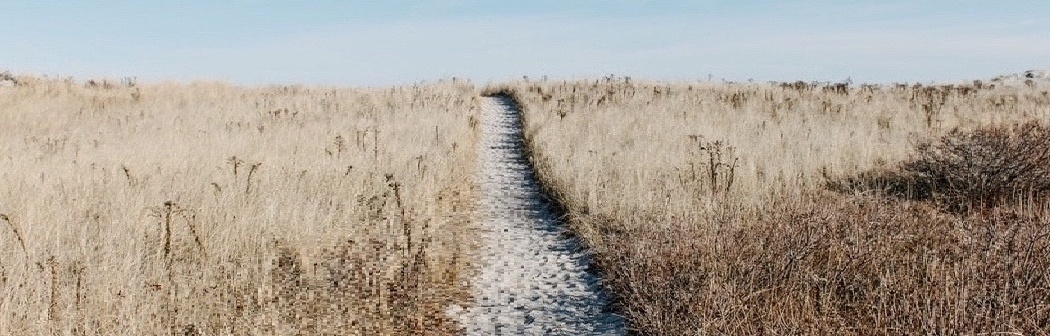 banner image
